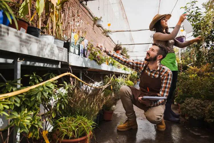 Agricultural worker tending plants in a greenhouse